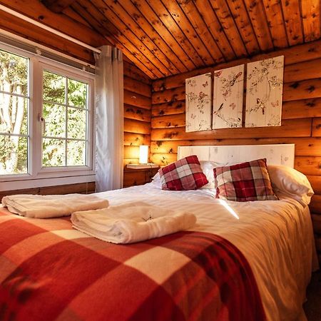 Welsh Retreat 2 Bedroom Log Cabin - Seren Property Trawsfynydd Екстер'єр фото