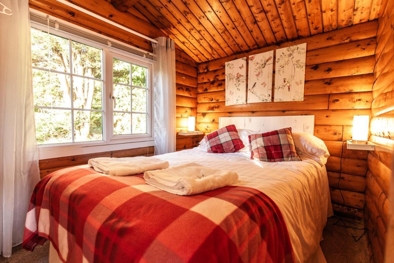 Welsh Retreat 2 Bedroom Log Cabin - Seren Property Trawsfynydd Екстер'єр фото