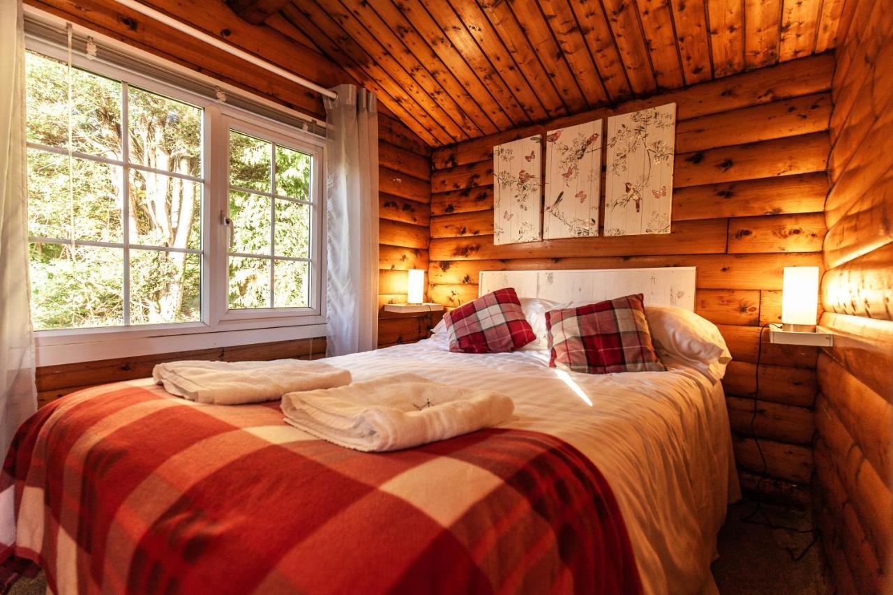 Welsh Retreat 2 Bedroom Log Cabin - Seren Property Trawsfynydd Екстер'єр фото