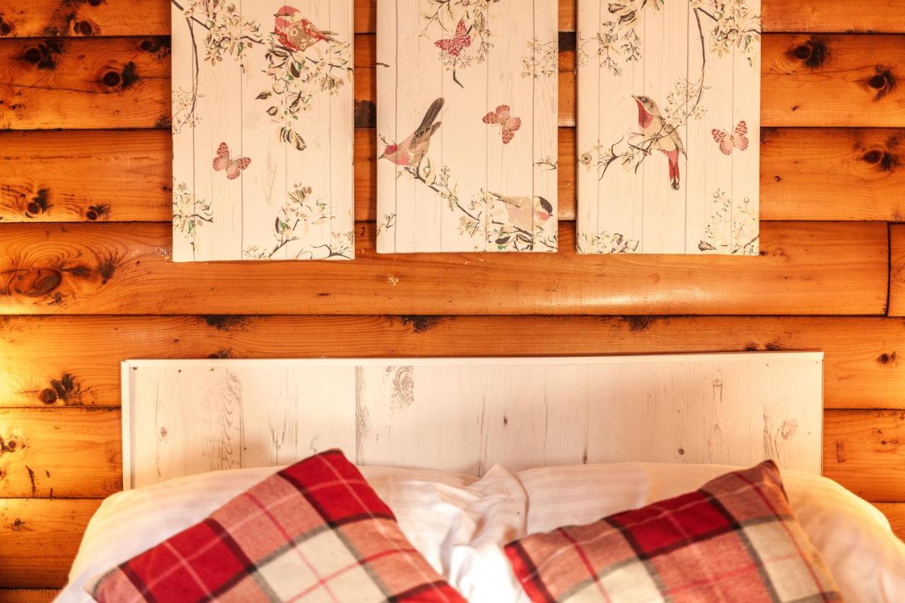 Welsh Retreat 2 Bedroom Log Cabin - Seren Property Trawsfynydd Екстер'єр фото
