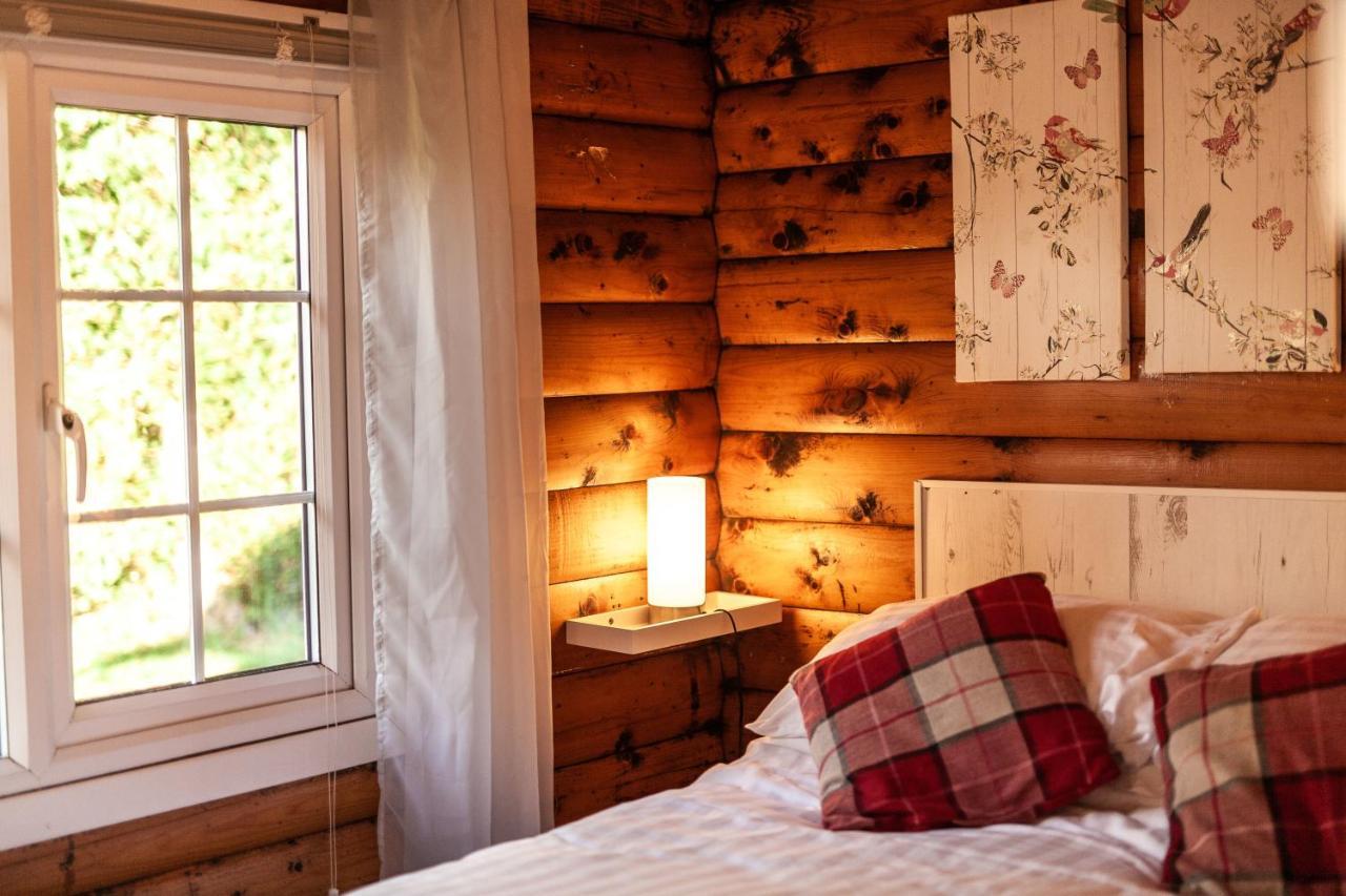 Welsh Retreat 2 Bedroom Log Cabin - Seren Property Trawsfynydd Екстер'єр фото